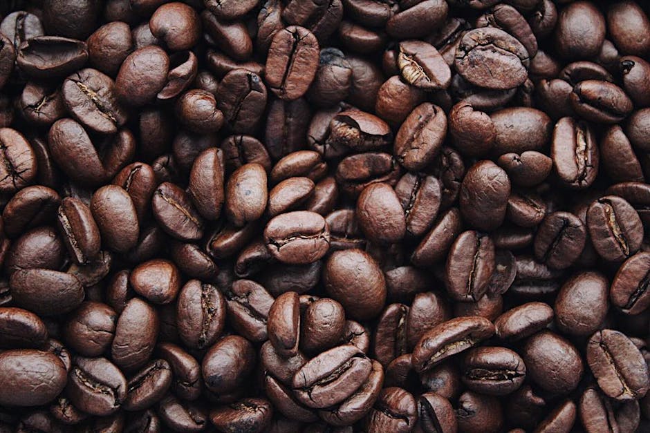 Why Premium Coffee Beans Make All the Difference in Your Daily Brew
